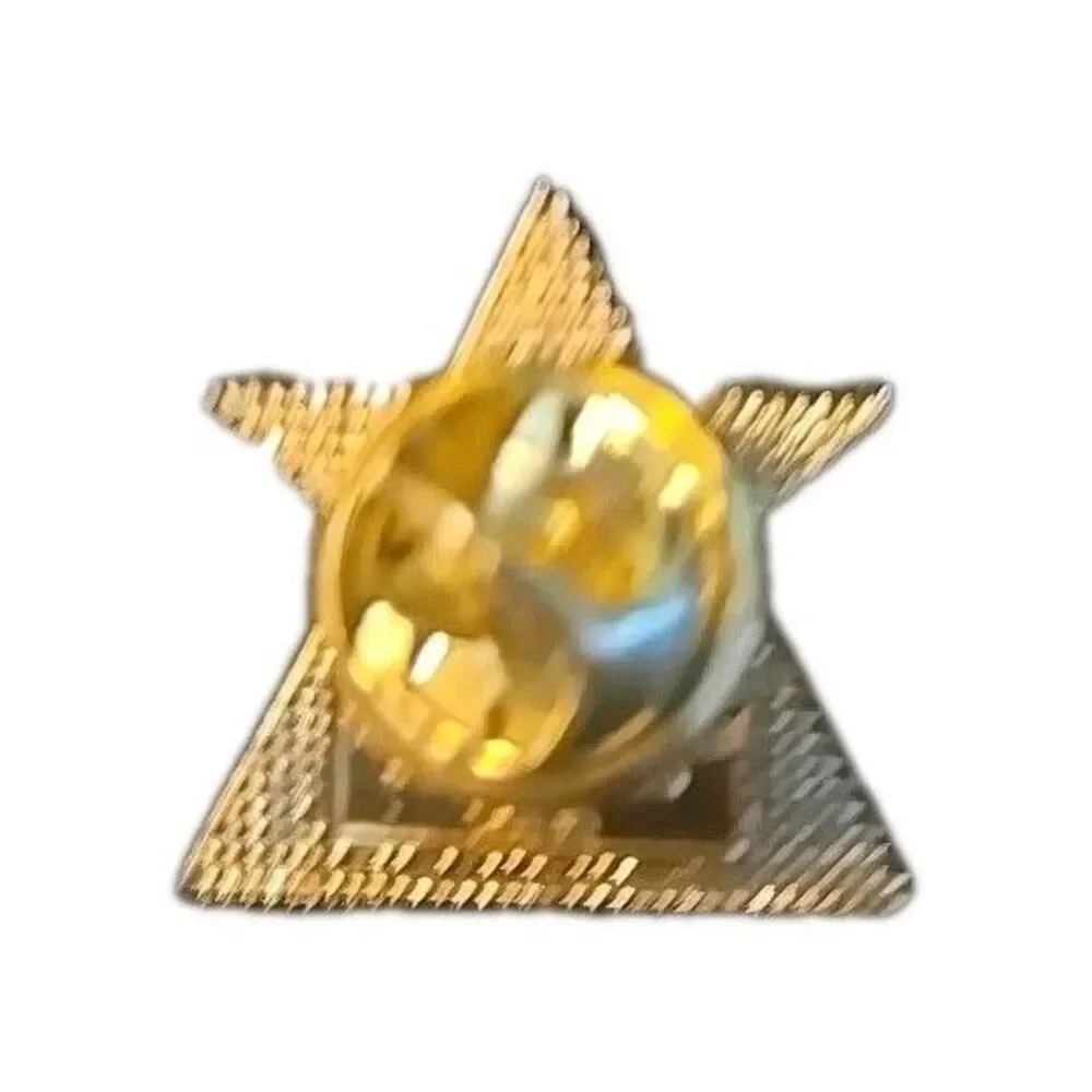 Gold Star Volunteer Appreciation Lapel Pin